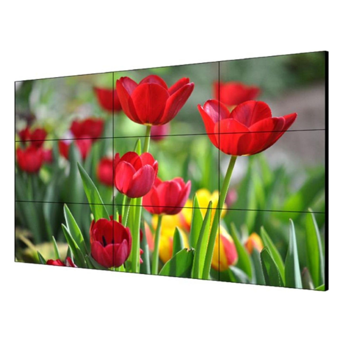 DS-D2055HU-Y - Unité d'affichage LCD 55 pouces 3,5 mm