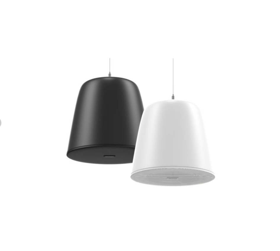 DS-QAZ1530G1-BE - Network Pendent Speaker PoE 30W