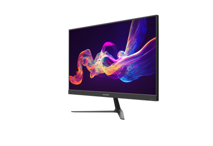 DS-D5024F2-BV2S - 23.8 inch FHD 100Hz VA Monitor with speaker